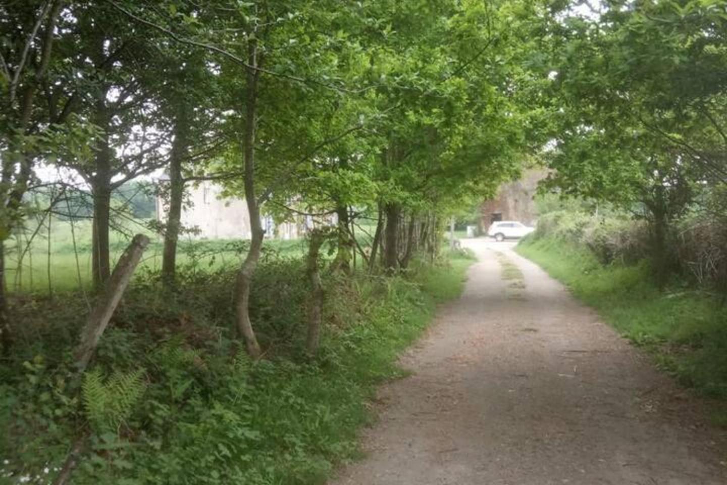 Mortain-Bocage - 2-Bed Wisteria Cottage - Sleeps 4 Notre-Dame-du-Touchet 외부 사진